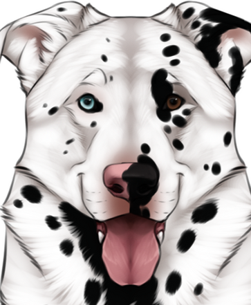 Takoda