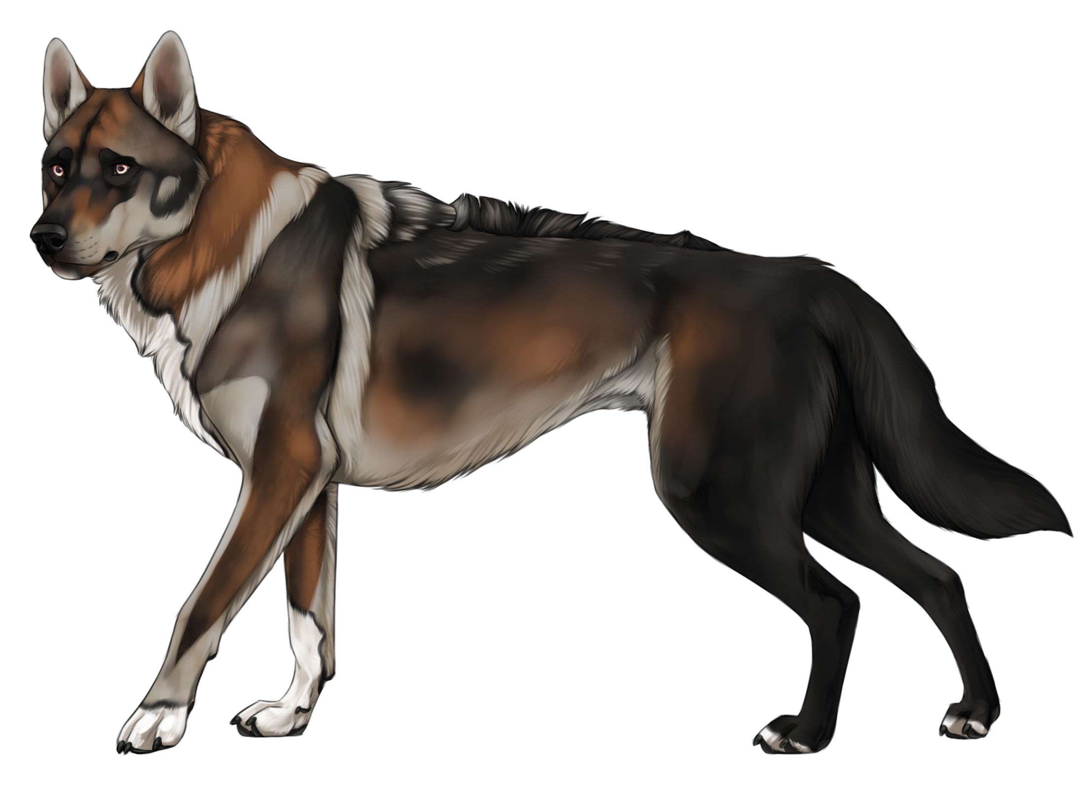 ★ Re-Design and Base by Kique Nordin | Adopt Gift from WolfieGirl | Value $0.00