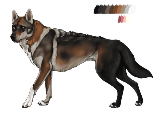 ★ Design by TiltedCactus | Bought from Prålig on Discord | Value $25.00