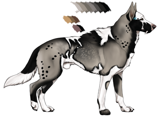 ★ Re-Design and Base by Kique Nordin | Adopt Gift from WolfieGirl | Value $0.00