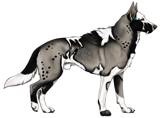 ★ Re-Design and Base by Kique Nordin | Adopt Gift from WolfieGirl | Value $0.00