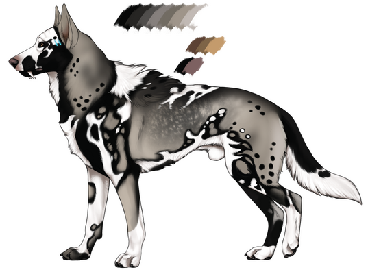 ★ Re-Design and Base by Kique Nordin | Adopt Gift from WolfieGirl | Value $0.00